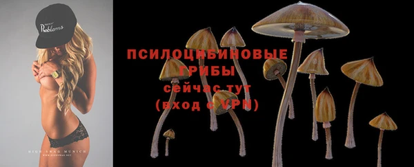 spice Горно-Алтайск