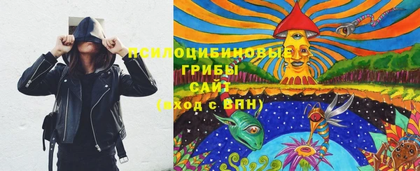 spice Горно-Алтайск