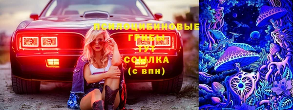 spice Горно-Алтайск