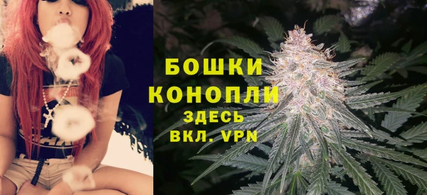 МДПВ Горняк