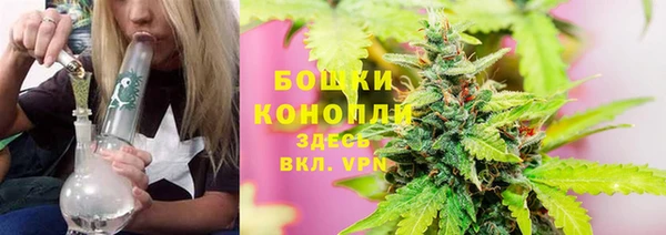 МДПВ Горняк