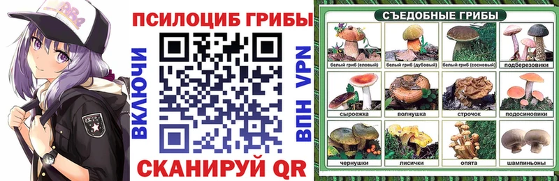 Псилоцибиновые грибы MAGIC MUSHROOMS  Гусиноозёрск 